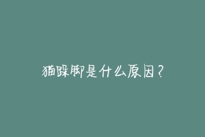 猫跺脚是什么原因?
