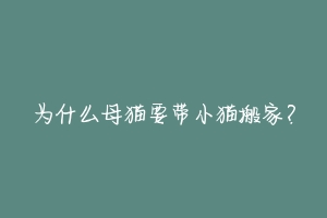 为什么母猫要带小猫搬家?