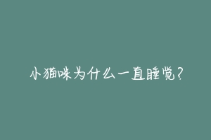 小猫咪为什么一直睡觉？