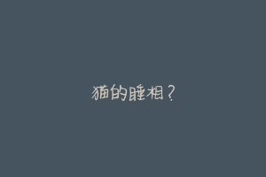 猫的睡相?