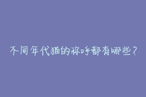不同年代猫的称呼都有哪些?