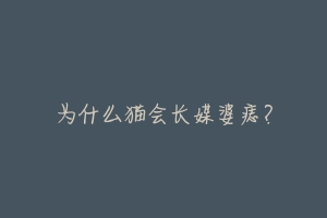 为什么猫会长媒婆痣?