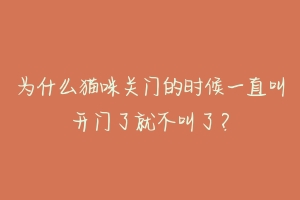 为什么猫咪关门的时候一直叫开门了就不叫了?