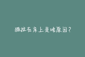 猫拉在床上是啥原因?