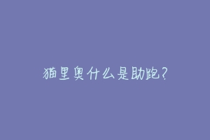 猫里奥什么是助跑?