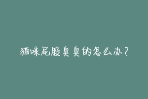 猫咪屁股臭臭的怎么办?