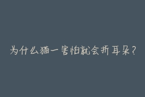 为什么猫一害怕就会折耳朵？
