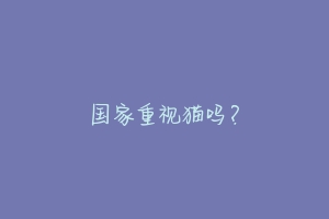 国家重视猫吗？