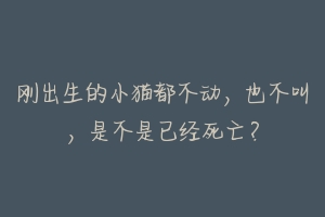 刚出生的小猫都不动,也不叫,是不是已经死亡?