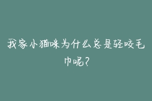 我家小猫咪为什么总是轻咬毛巾呢?