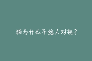 猫为什么不给人对视?