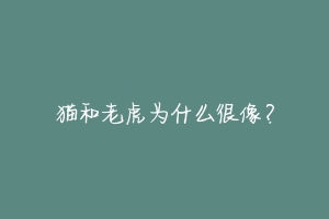 猫和老虎为什么很像?