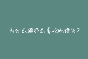 为什么猫那么喜欢吃馒头？