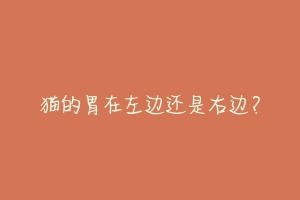 猫的胃在左边还是右边?