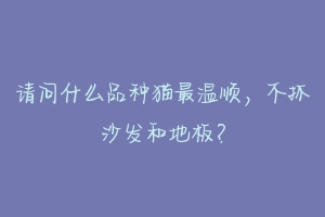 请问什么品种猫最温顺,不抓沙发和地板?