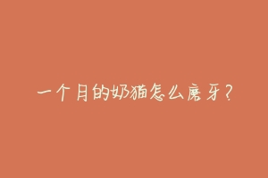 一个月的奶猫怎么磨牙?