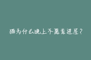 猫为什么晚上不愿意进屋?