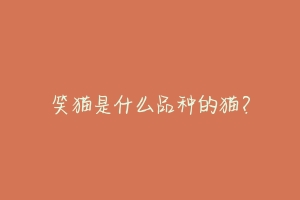 笑猫是什么品种的猫?