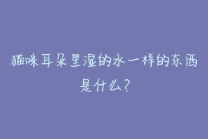 猫咪耳朵里湿的水一样的东西是什么?