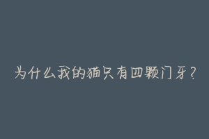 为什么我的猫只有四颗门牙?