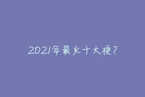 2021年最火十大梗?