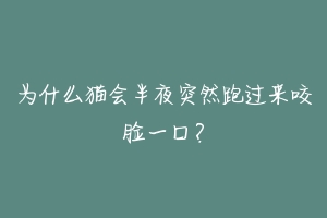 为什么猫会半夜突然跑过来咬脸一口?
