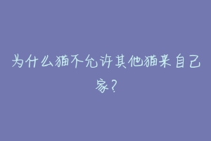 为什么猫不允许其他猫来自己家?