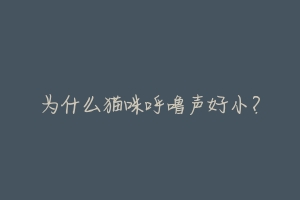 为什么猫咪呼噜声好小?