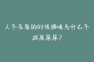 人不在家的时候猫咪为什么不拉屎尿尿?