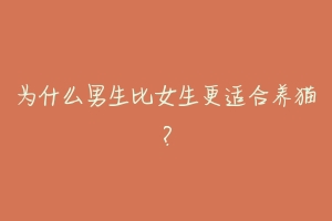 为什么男生比女生更适合养猫?