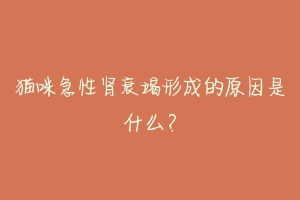 猫咪急性肾衰竭形成的原因是什么?