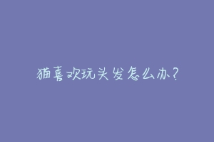 猫喜欢玩头发怎么办?