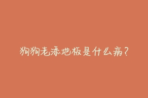 狗狗老添地板是什么病?