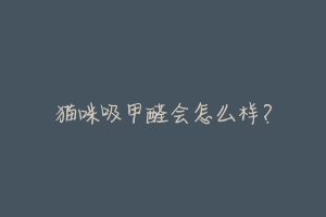 猫咪吸甲醛会怎么样?