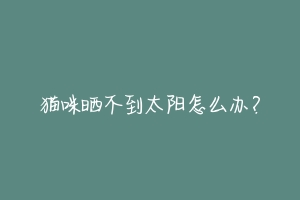 猫咪晒不到太阳怎么办?