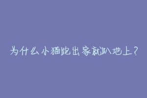 为什么小猫跑出家就趴地上?