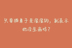 只要猫鼻子是湿湿的,就表示她没生病吗?