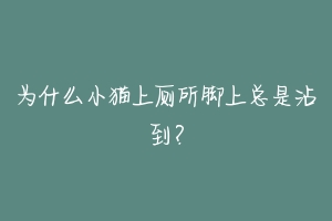 为什么小猫上厕所脚上总是沾到?