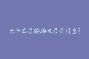 为什么有的猫咪没有门齿?