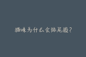 猫咪为什么会舔屁股?