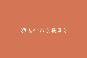 猫为什么会挠车?