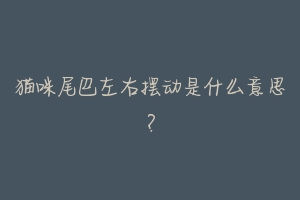 猫咪尾巴左右摆动是什么意思?