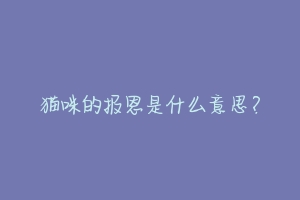猫咪的报恩是什么意思?