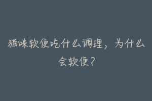 猫咪软便吃什么调理,为什么会软便?