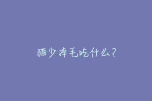 猫少掉毛吃什么?