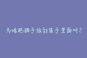 为啥把猫子放到袋子里面叫?