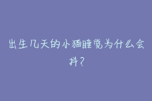 出生几天的小猫睡觉为什么会抖?