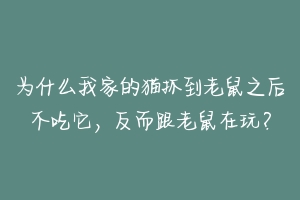 为什么我家的猫抓到老鼠之后不吃它,反而跟老鼠在玩?