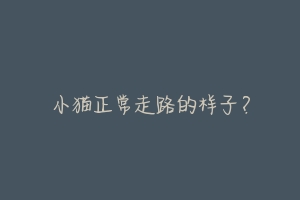 小猫正常走路的样子?