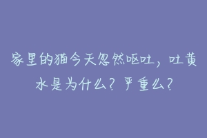 家里的猫今天忽然呕吐,吐黄水是为什么?严重么?